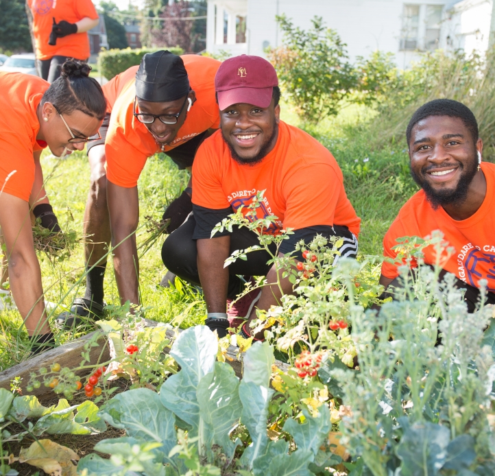  Four people in orange shirts are actively engaged in gardening, tending to plants and smiling at the camera, with more people visible in the background.