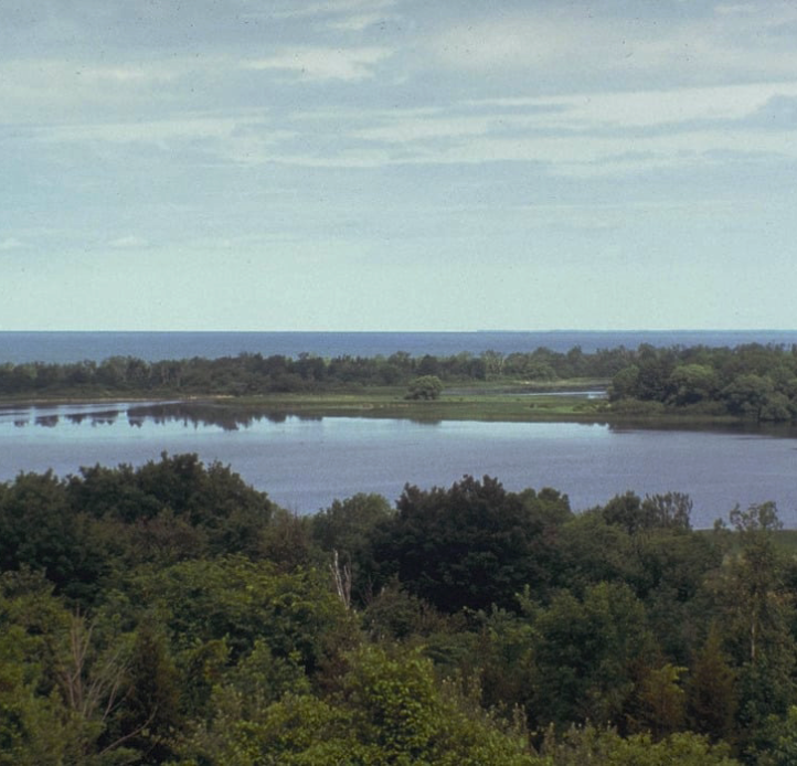 A serene panoramic view showcases a body of water fringed by lush green trees under a soft, overcast sky, with the expanse of a larger lake or sea visible in the distance.