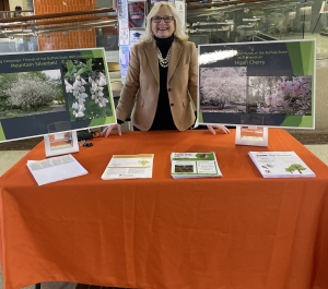 A woman stands behind an information table with an orange tablecloth at an indoor campus location, smiling while presenting materials about the Friends of the Buffalo State Maud Gordon Holmes Arboretum. Display boards on the table show images and information about trees